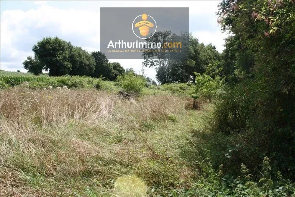 Vente Terrain GUILLAC TERRAIN BOISE 4 000 M² Guillac