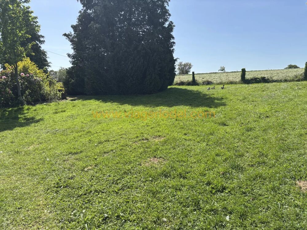 Vente Appartement Réf. 10 095 - VIAGER OCCUPE - SAINT-GEORGES-BUTTAVENT (53) Saint-georges-buttavent