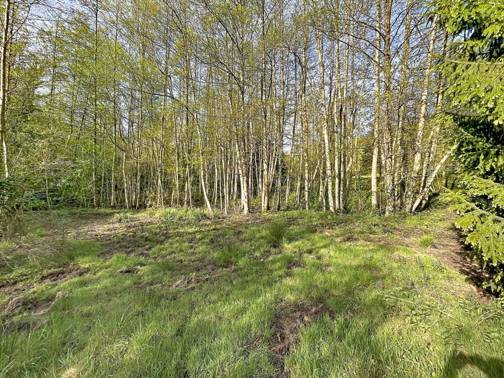 Vente Terrain Terrain de loisir 1 hectare avec 2 étangs Bourguignon-sous-montbavin