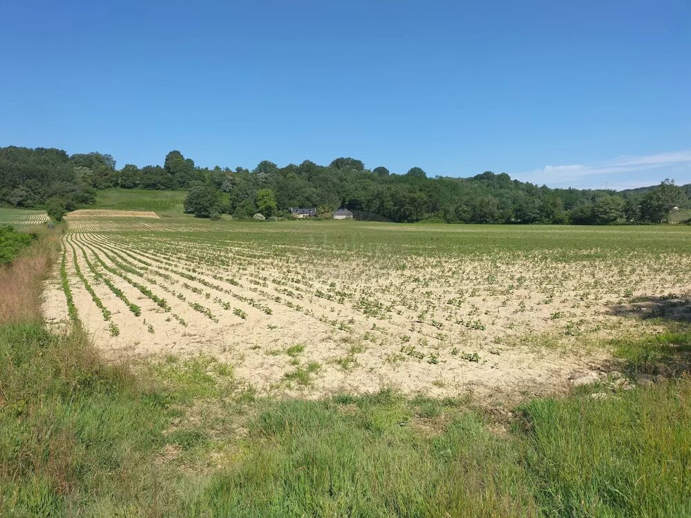 Vente Terrain Terrain agricole de 9ha70 Tarbes