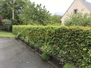  Maison à vendre 3 pièces 91 m²