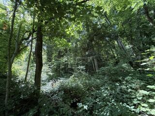  Terrain � vendre 3550 m�