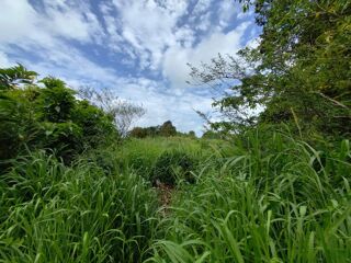  Terrain à vendre 9227 m²