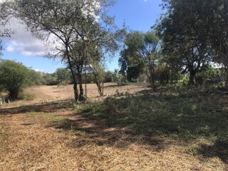  Terrain � vendre 6389 m�