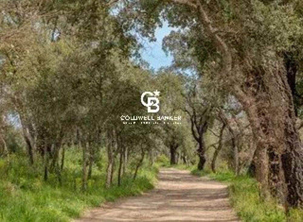 � vendre  Maison Cogolin (83310)