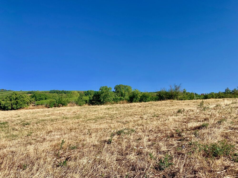 Vente Terrain Marlenheim, terrain à bâtir de 450m2, libre d'architecte Marlenheim