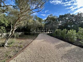  Maison � vendre 7 pi�ces 300 m�