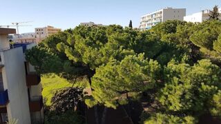  Appartement à louer 3 pièces 49 m²