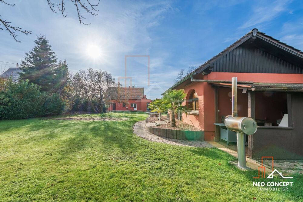 Vente Maison Maison de 195m² sur 22 ares Kurtzenhouse
