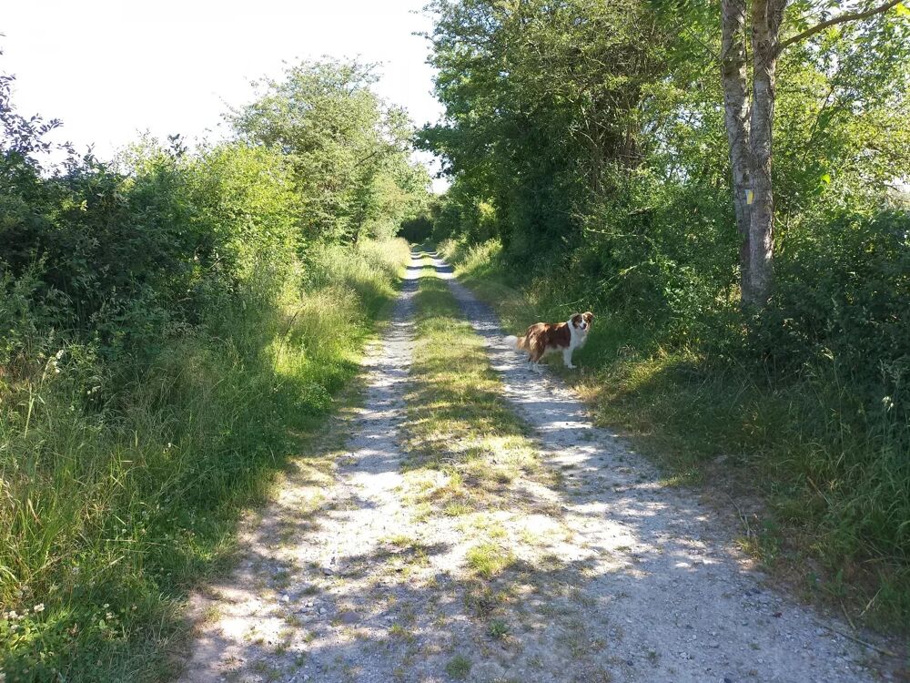 Vente Terrain Terrain agricole de 9ha70 Tarbes