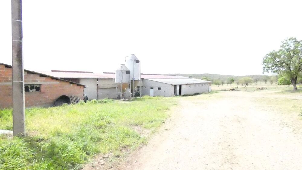 Vente Maison Corps de ferme Cazals