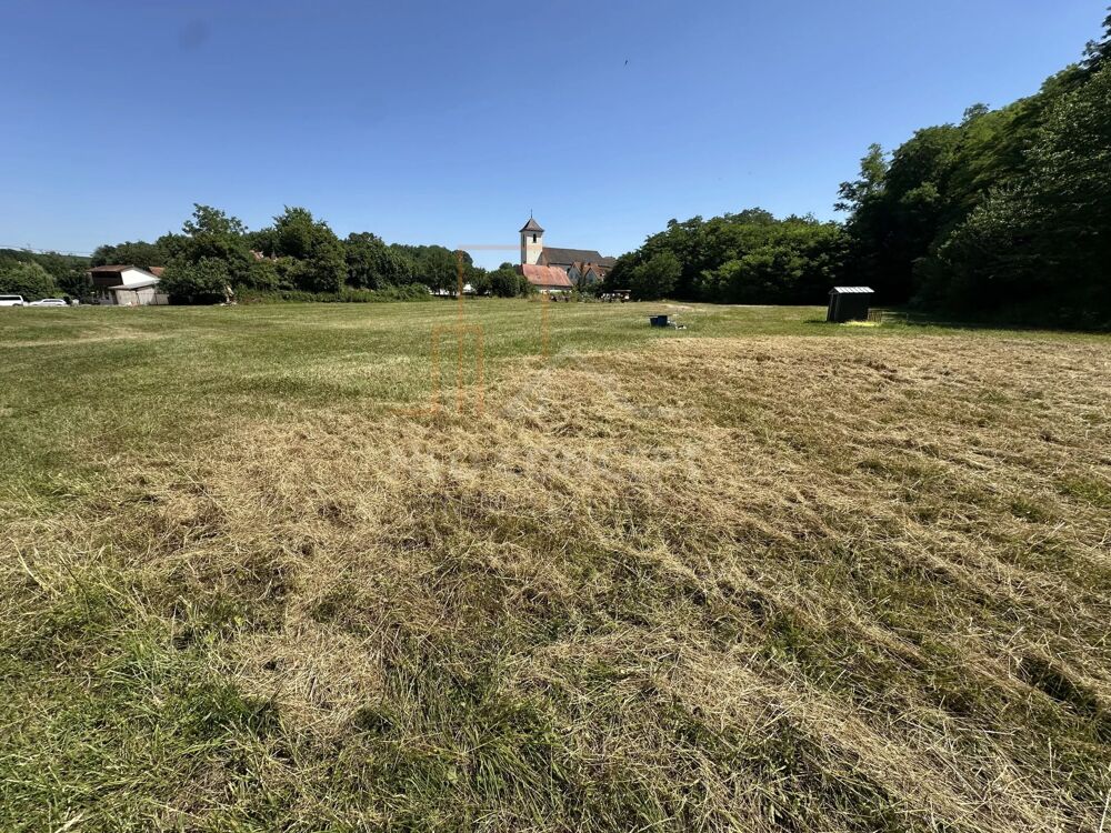 Vente Terrain EXCLUSIVITE NEO CONCEPT IMMO Neewiller-près-lauterbourg