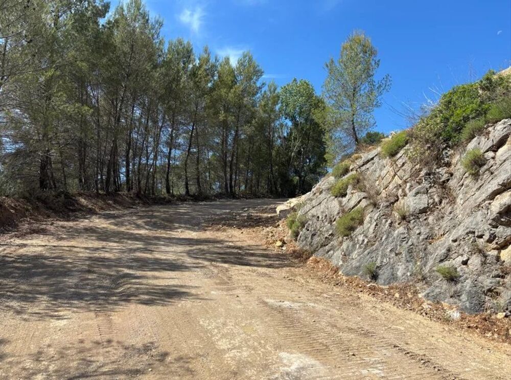 Vente Terrain FIGANIÈRES – TERRAIN AGRICOLE ET FORESTIER DE PLUS DE 9 HECTARES Figanières