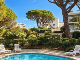  Appartement à louer 1 pièce 45 m²