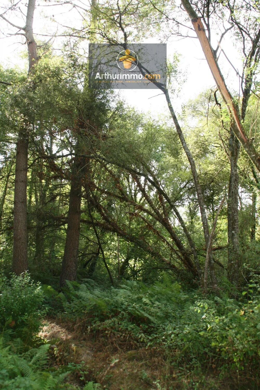 Vente Terrain HELLEAN PARCELLES BOISÉES 9 400 M² Helléan