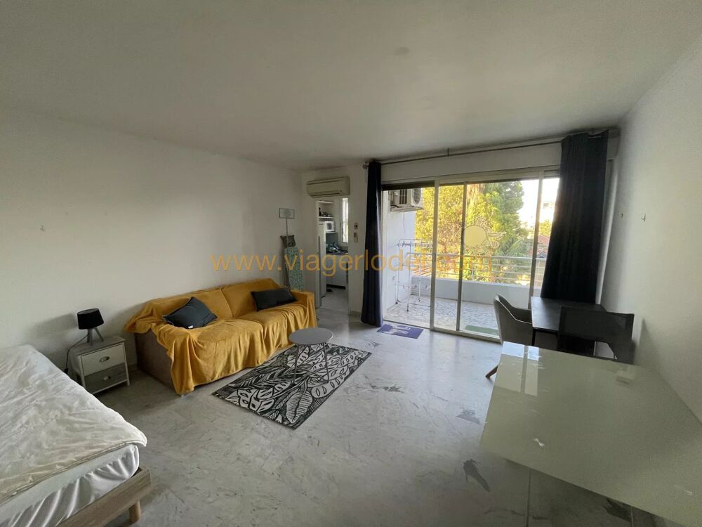 Location Appartement Ref – 8443 LOCATION MEUBLEE GOLFE JUAN Bord de mer - Capitaineri Golfe-juan