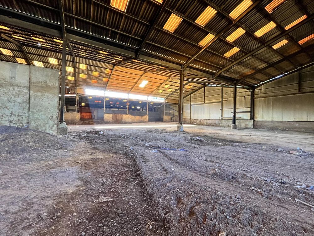 Vente Immeuble Ensemble immobilier hangar et bureau Braine Brenelle
