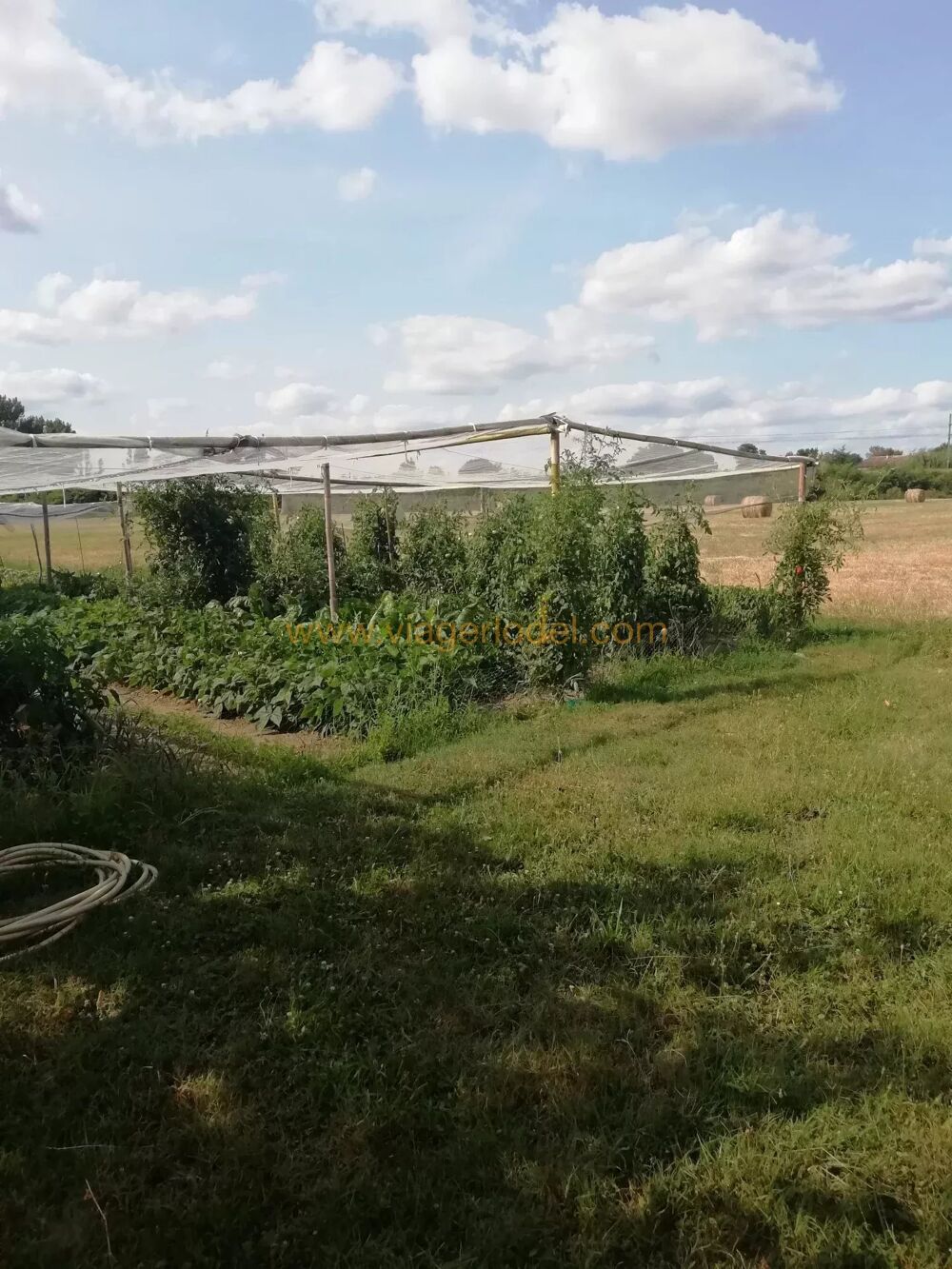 Réf. annonce : 9907 - VIAGER OCCUPE - MONTBETON (82)