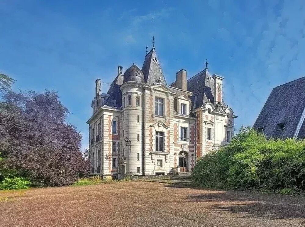 Vente Propriété/Château Château Napoléon, complexe locatif Saint-biez-en-belin