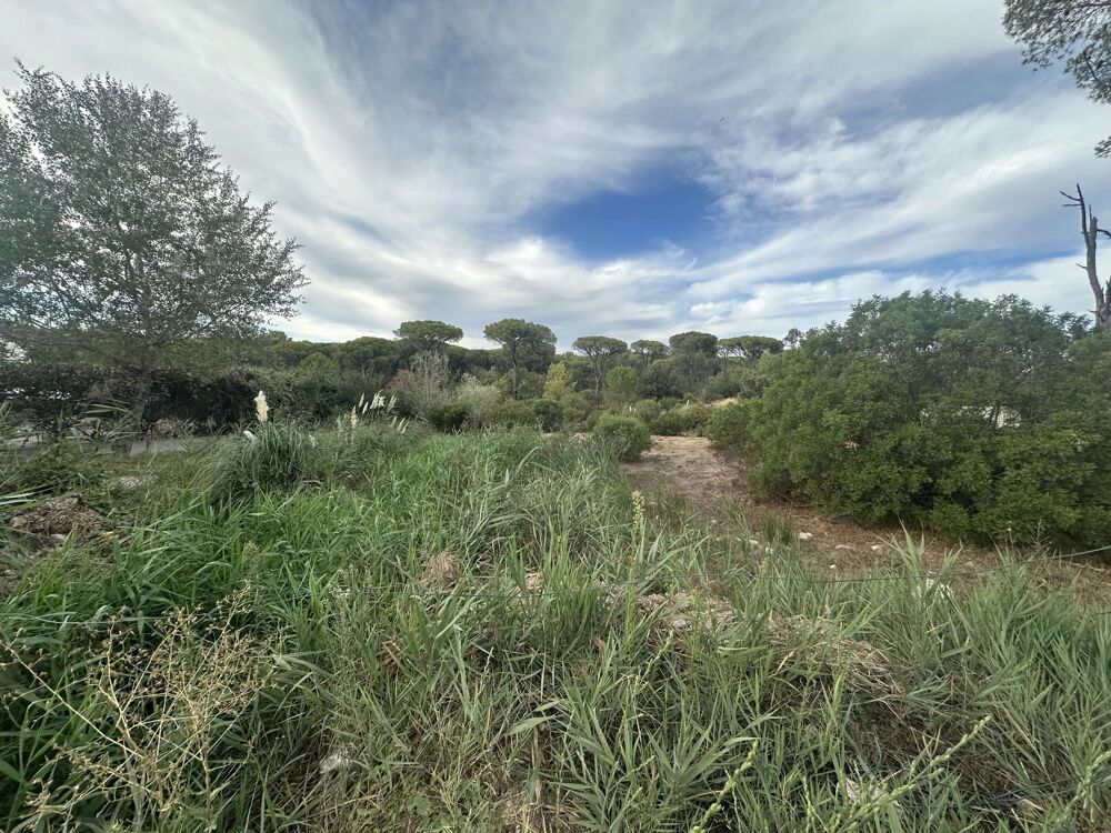 Vente Terrain EXCLUSIVITÉ – FRÉJUS – TERRAIN LIBRE CONSTRUCTEUR VIABILISÉ AVEC Fréjus