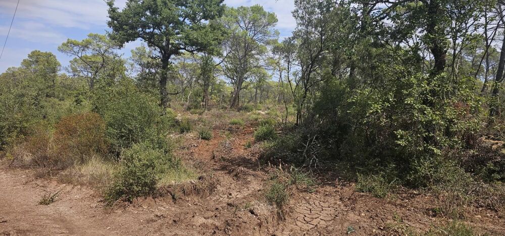 Vente Terrain Terrain non constructible à vendre à Cabasse Cabasse