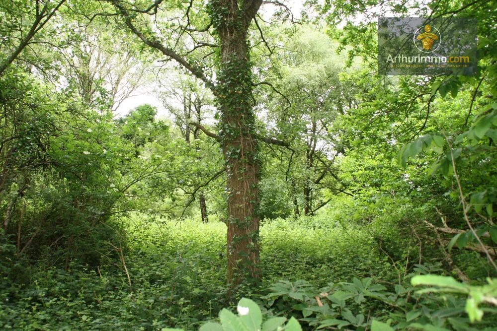 Vente Terrain CREDIN TERRAIN BOISÉ DE 5 hectares Crédin