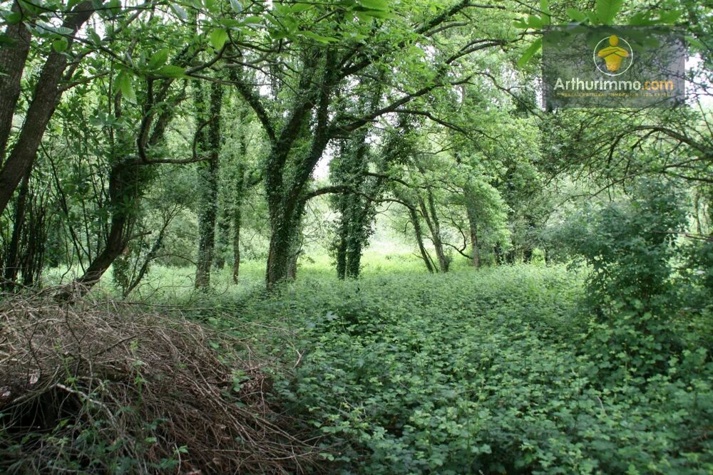 Vente Terrain CREDIN TERRAIN BOISÉ DE 5 hectares Crédin