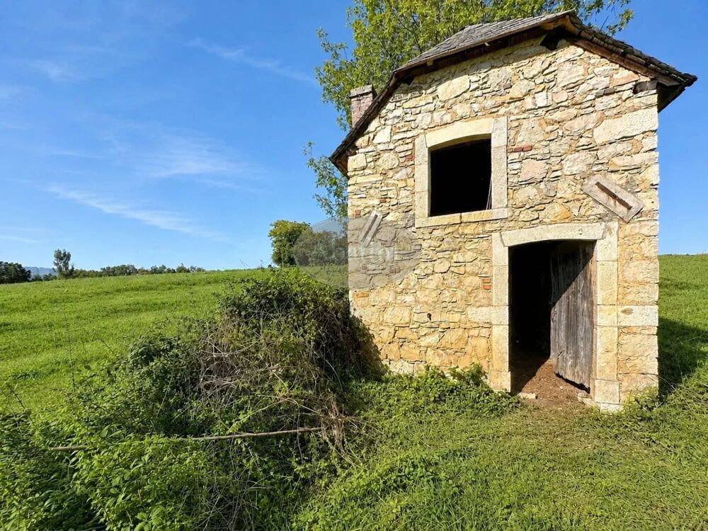 Vente Villa Grange vue Pyrénées 1.6ha Vielle-adour