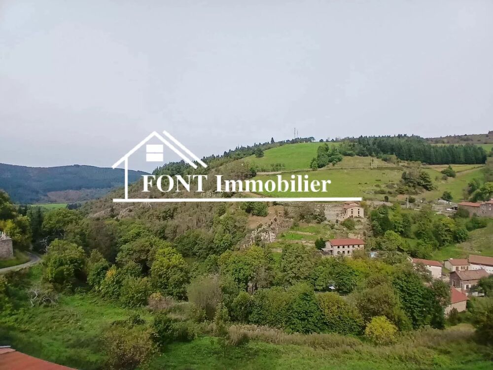 Vente Appartement DOIZIEUX, PLATEAU A AMÉNAGER 50 M² Doizieux