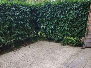  Appartement � louer 2 pi�ces 31 m�