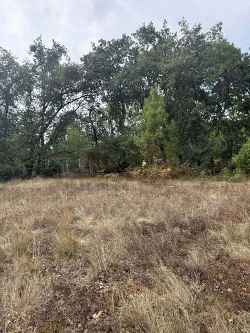 Vente Terrain Terrain constructible de 741 m² à Salles Salles