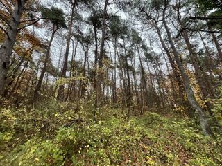  Terrain � vendre 108475 m�