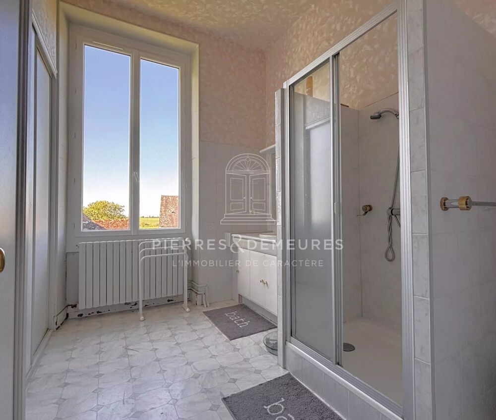 � vendre  Propri�t�/ch�teau Neuvy-Pailloux (36100)