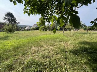  Terrain à vendre 970 m²
