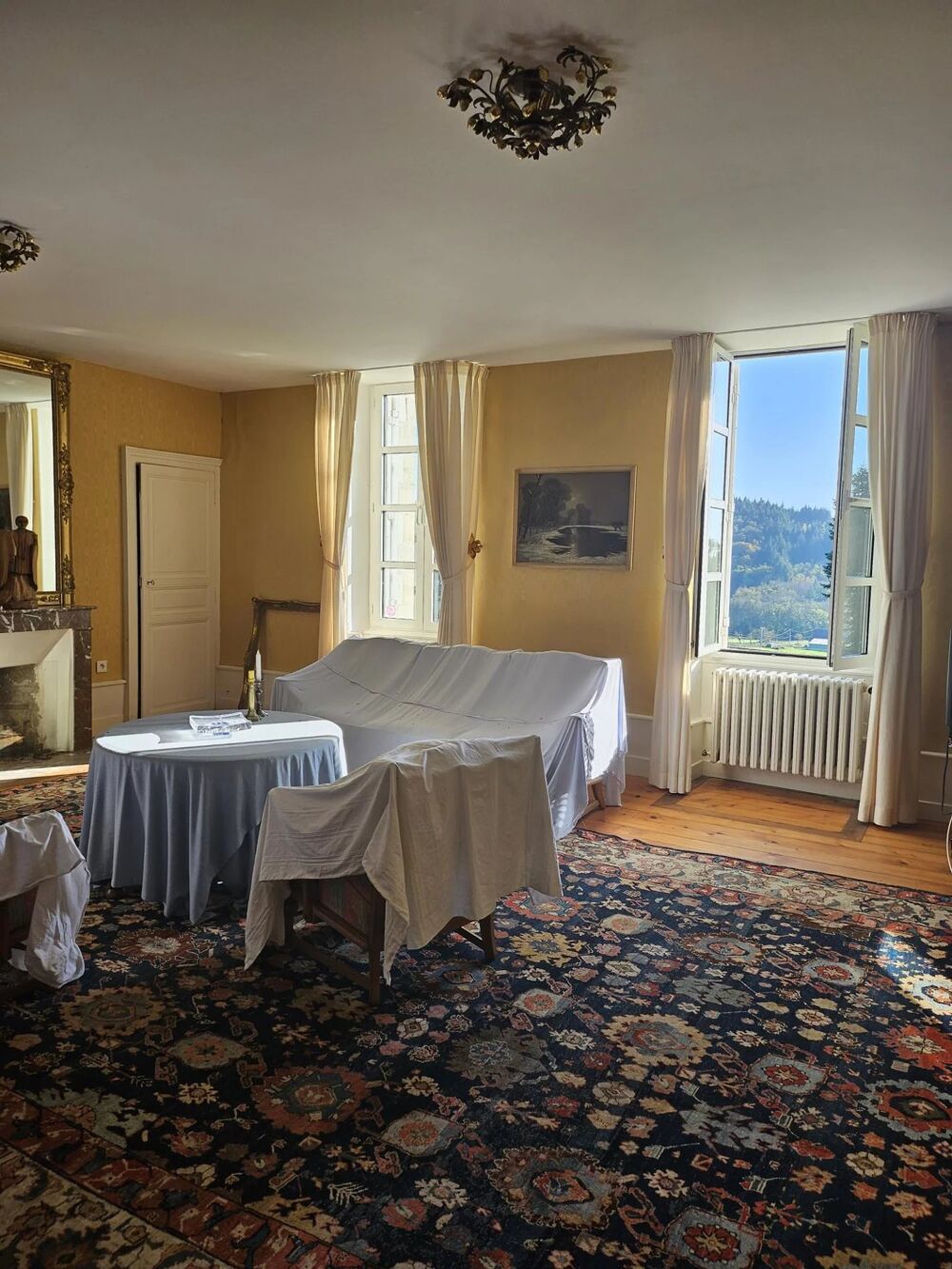  vendre  Proprit/chteau Moulins-Engilbert (58290)