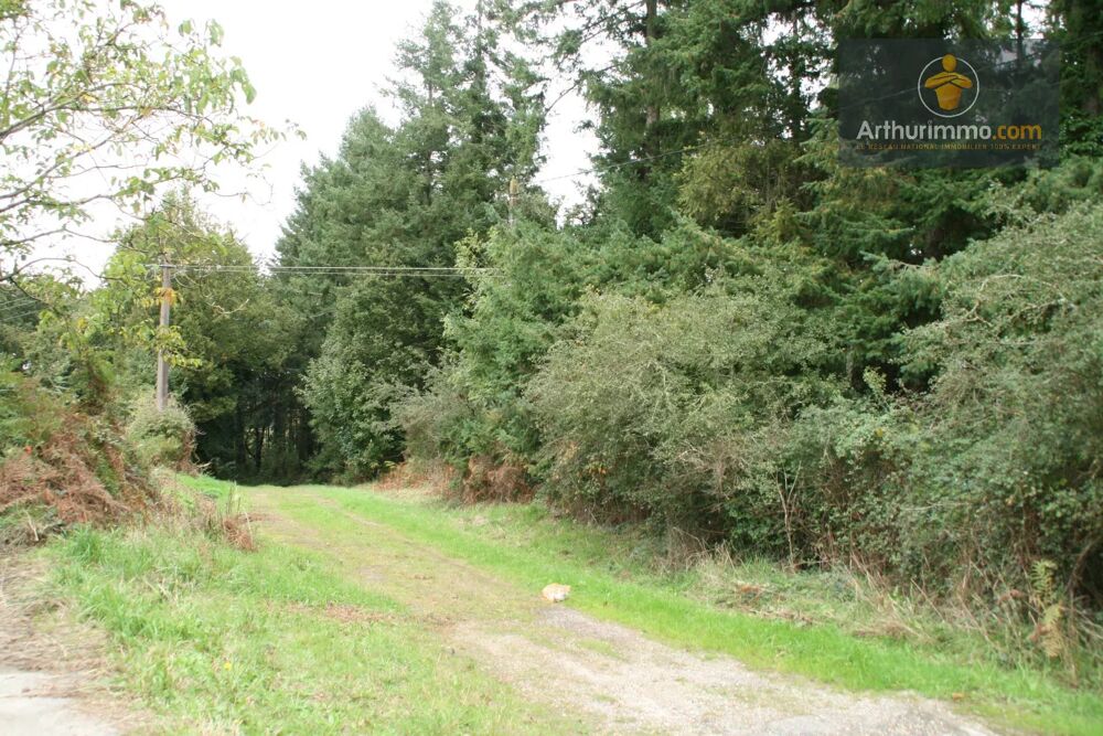 Vente Terrain GUEGON TERRAIN 4.52 HECTARES Guégon