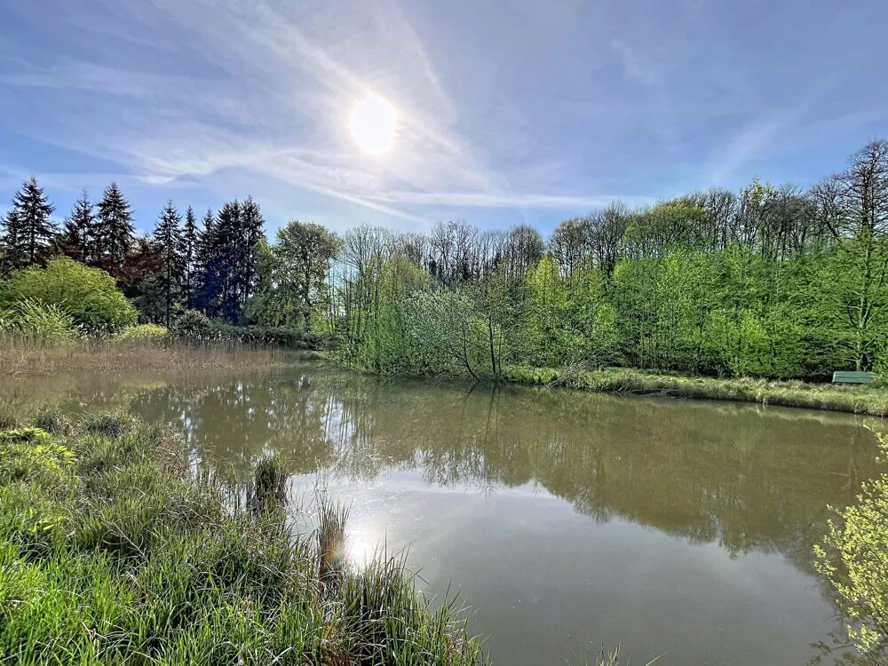 Vente Terrain Terrain de loisir 1 hectare avec 2 étangs Bourguignon-sous-montbavin