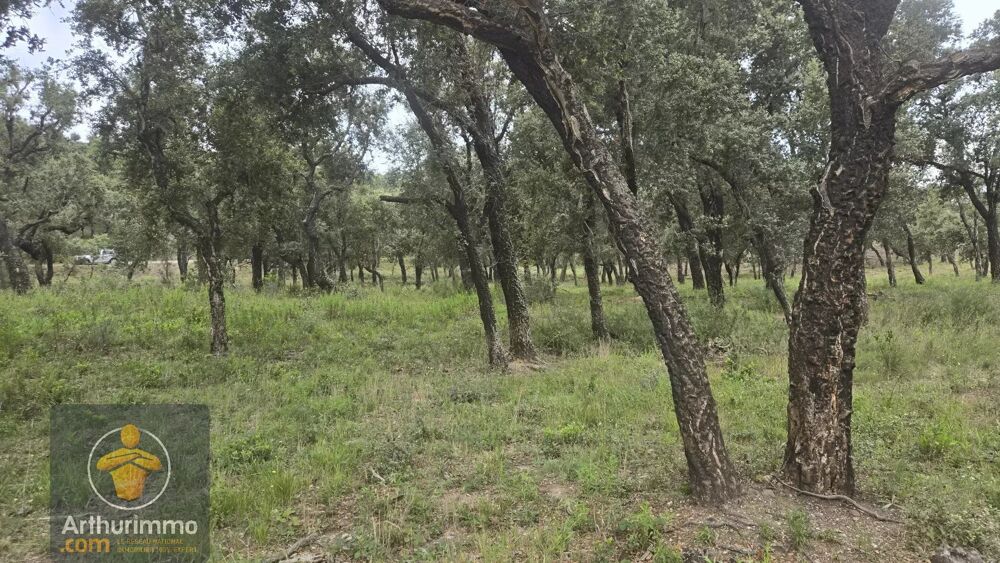 Vente Terrain Terrain naturel 4,7 ha à Bormes-les-Mimosas Bormes-les-mimosas