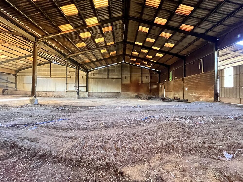 Vente Immeuble Ensemble immobilier hangar et bureau Braine Brenelle