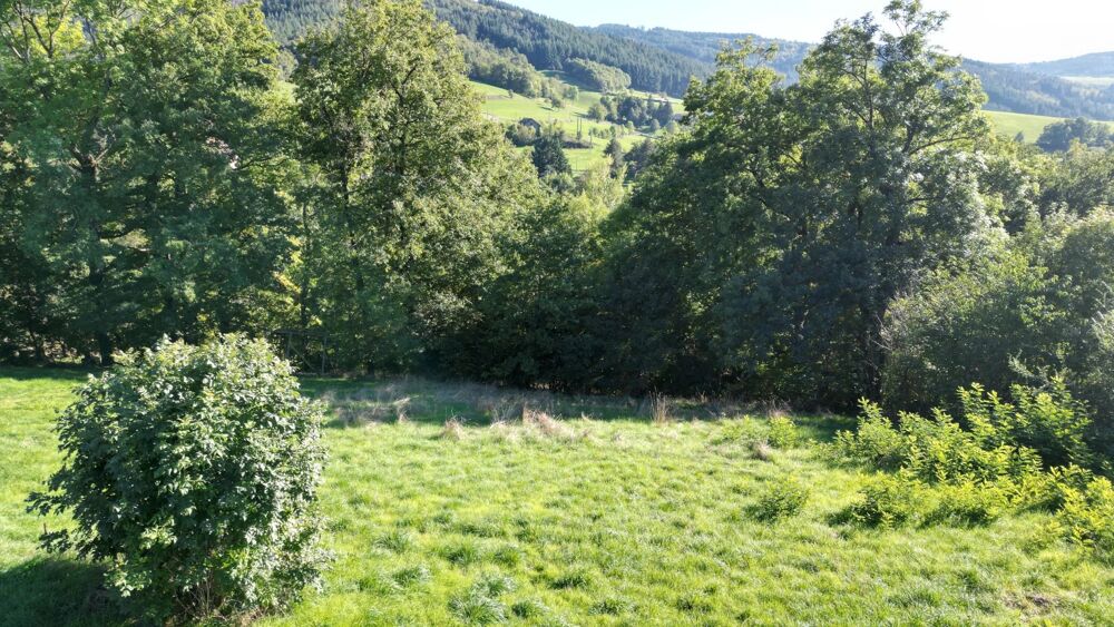 Vente Terrain Terrain Firminy