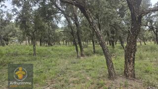  Terrain à vendre 47000 m²