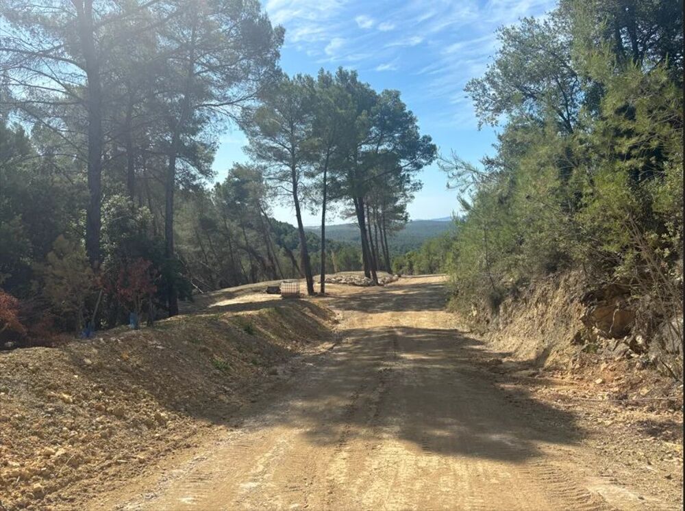 Vente Terrain FIGANIÈRES – TERRAIN AGRICOLE ET FORESTIER DE PLUS DE 9 HECTARES Figanières