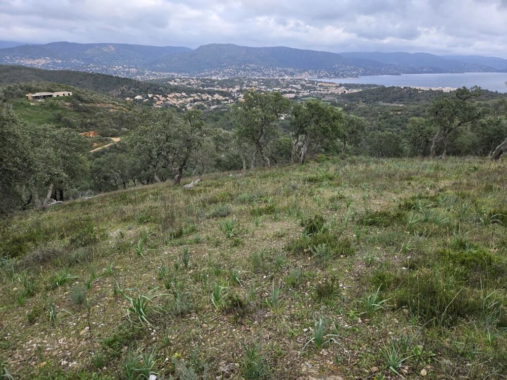 Vente Terrain Terrain Non Constructible à Bormes-les-Mimosas Bormes-les-mimosas