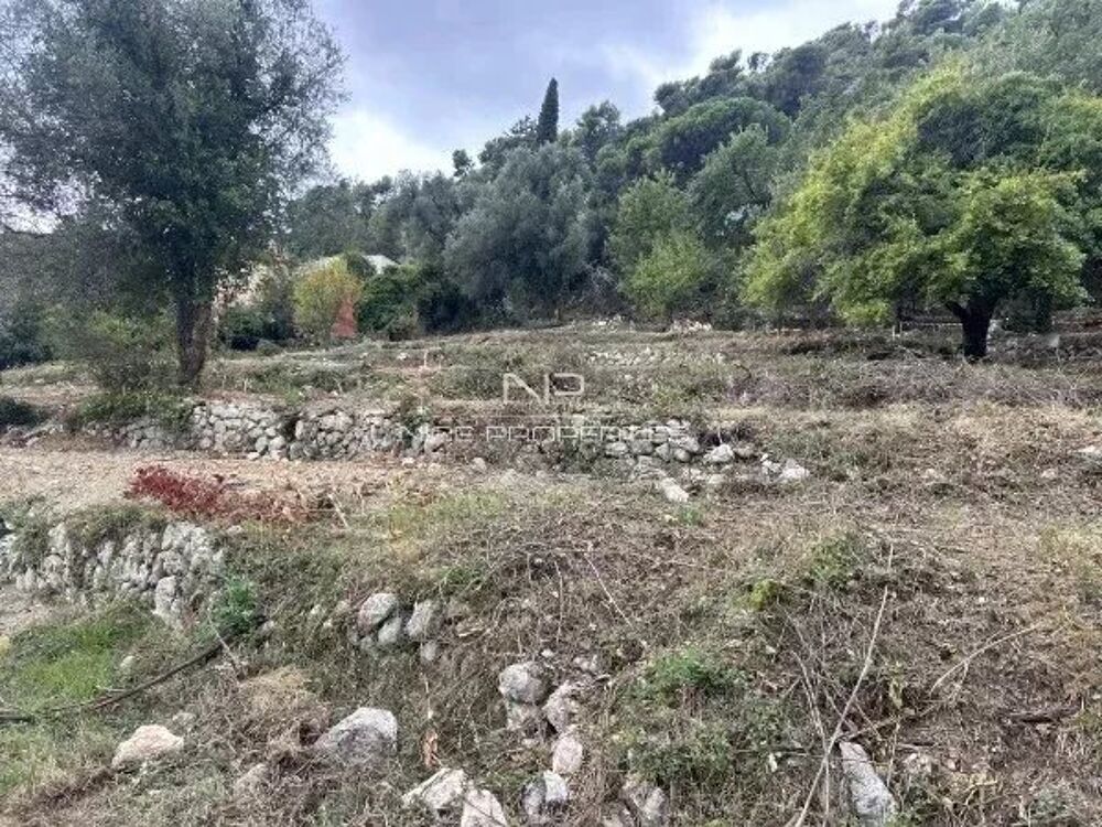 Vente Terrain Falicon, magnifique terrain constructible avec 17 lots dont 10 i Falicon
