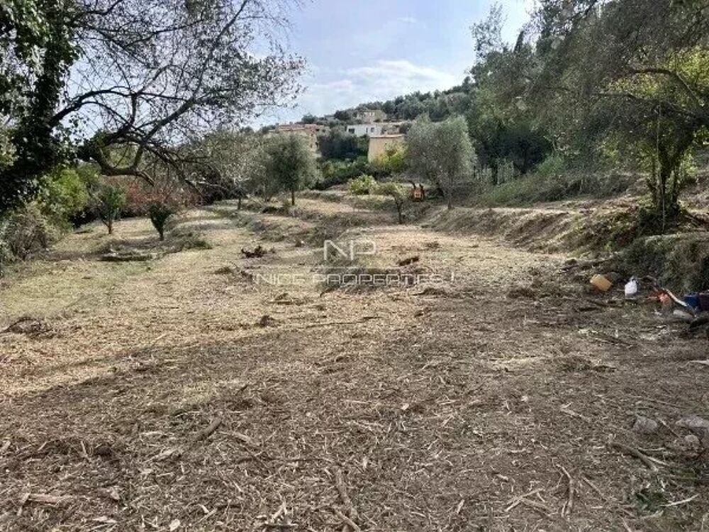 Vente Terrain Falicon, magnifique terrain constructible avec 17 lots dont 10 i Falicon