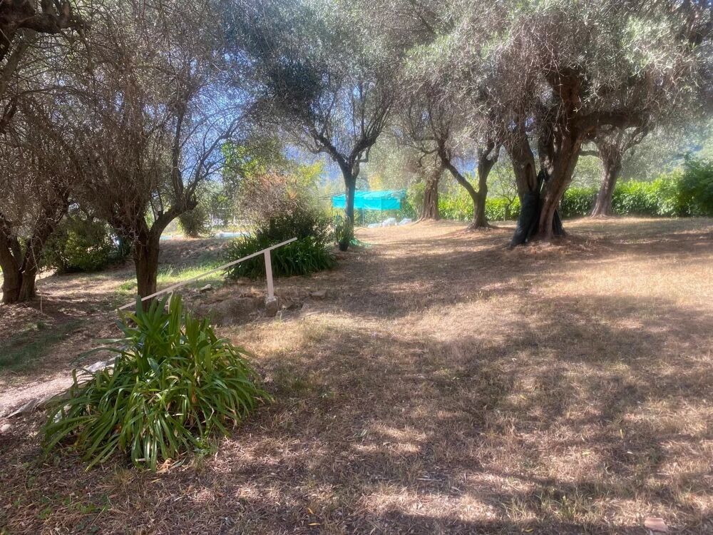 � vendre  Maison Contes (06390)