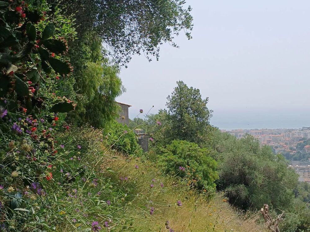  vendre  Maison Nice (06000)