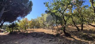  Terrain à vendre 5732 m²