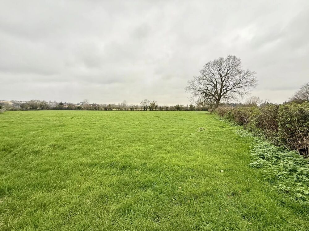 Vente Terrain ideal promoteur ou investisseur !!! Gournay-en-bray