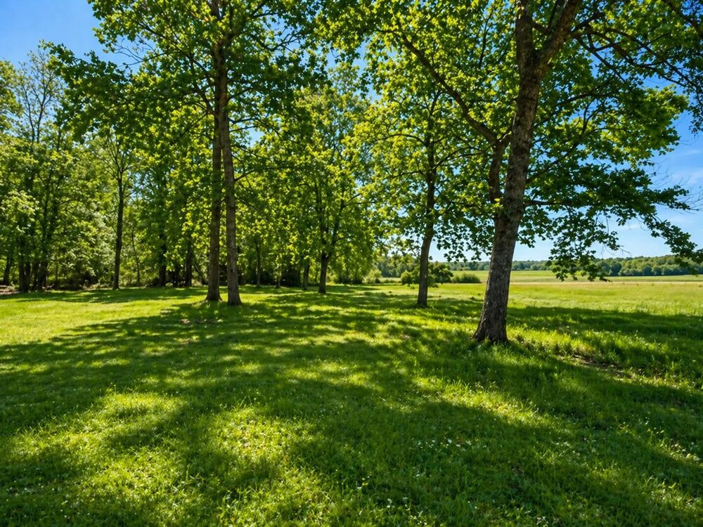 PROPRIÉTÉ À FORT POTENTIEL  PARCELLE DE 4218 m²